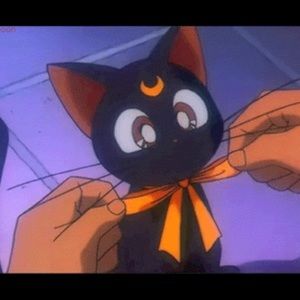 Meet your Posher, Sree